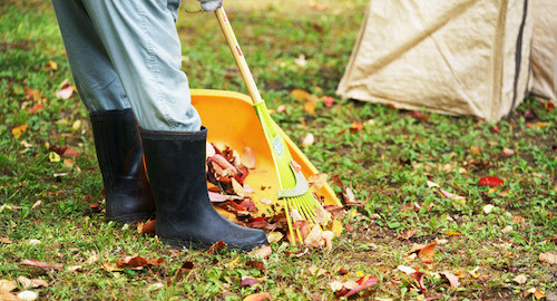 落ち葉清掃