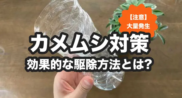 カメムシ対策のバナー