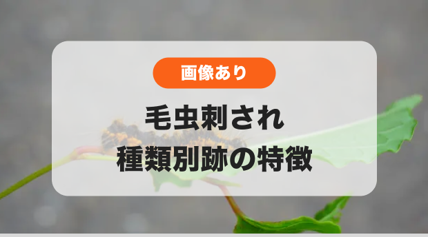 毛虫刺されのバナー