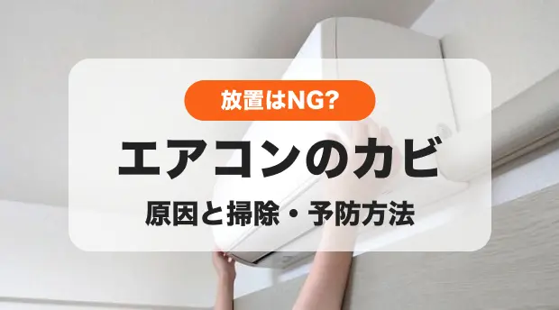 カビの原因と掃除方法のバナー