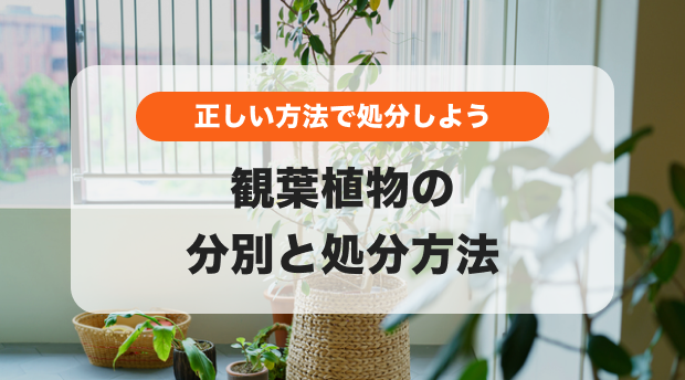 観葉植物の処分方法のバナー